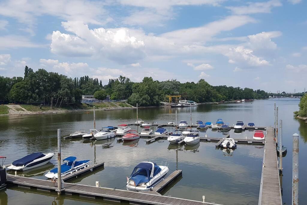 Danube Dream Superb View & Garage * Budapest